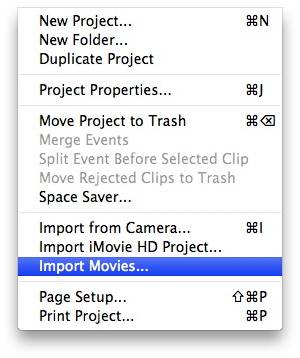 step by step guide on how to import Mini DVD into iMovie