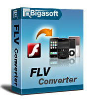 Bigasoft FLV Converter Software Box