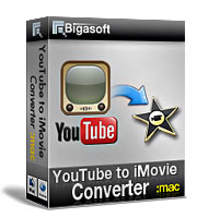 Bigasoft YouTube to iMovie Converter Software Box